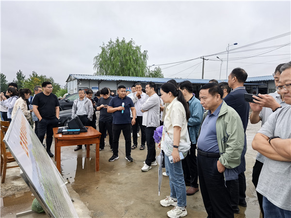 2025091414208468.jpg 6.jpg