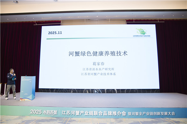 2025110912593334.jpg 7.jpg